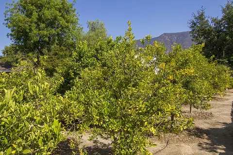370 Gridley Rd, Ojai, CA 93023 photo 8