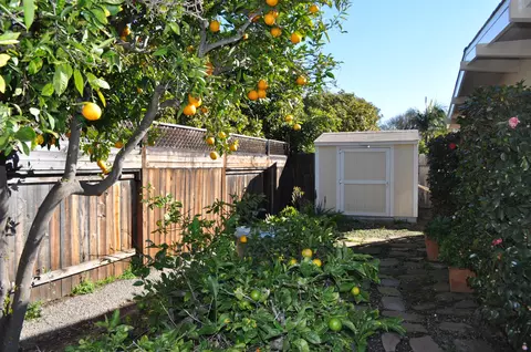 5432 Cameo Rd, Carpinteria, CA 93013 photo 22