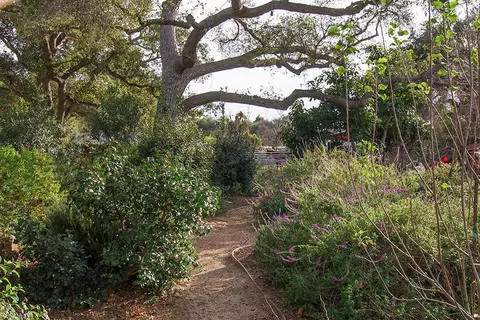 868 Fairview Rd, Ojai, CA 93023 photo 15