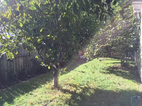 1482 Eucalyptus St, Carpinteria, CA 93013 photo 7
