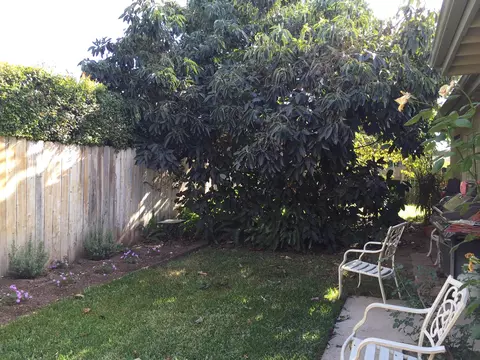 1482 Eucalyptus St, Carpinteria, CA 93013 photo 6