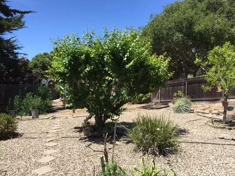 1250 Craig Dr, Lompoc, CA 93436 photo 19