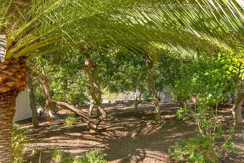 12774 Treeranch Rd, Ojai, CA 93023 photo 28