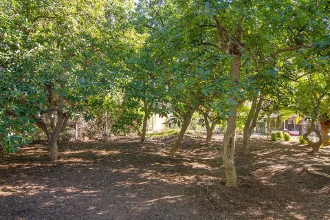 12774 Treeranch Rd, Ojai, CA 93023 photo 27