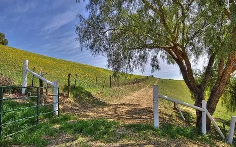 2575 Latigo Dr, Solvang, CA 93463 photo 23