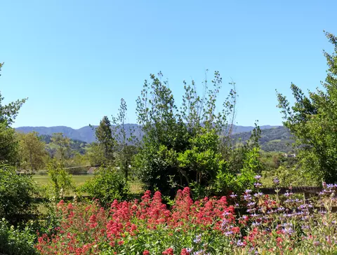 701 Roskilde Rd, Solvang, CA 93463 photo 22