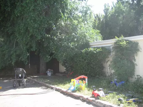 512 Lion St, Ojai, CA 93023 photo 4