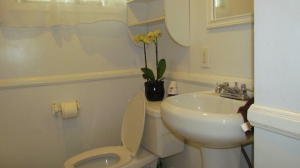 1394 Limu St, Carpinteria, CA 93013 photo 17