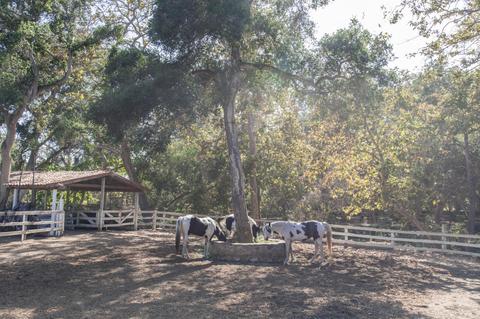 285 Toro Canyon Rd, Carpinteria, CA 93013 photo 26
