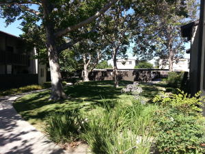 1676 Maple Ave #8, Solvang, CA 93463 photo 4