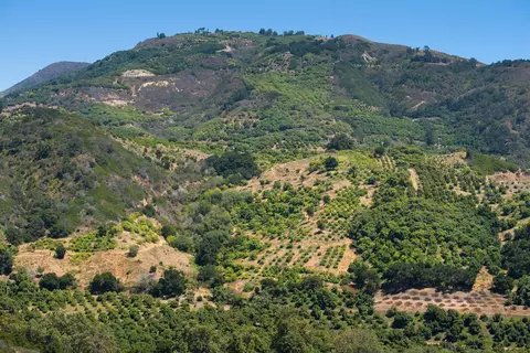 7161 Shepard Mesa Rd, Carpinteria, CA 93013 photo 2