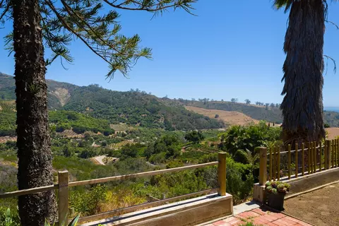 7161 Shepard Mesa Rd, Carpinteria, CA 93013 photo 9