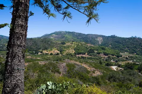 7161 Shepard Mesa Rd, Carpinteria, CA 93013 photo 7