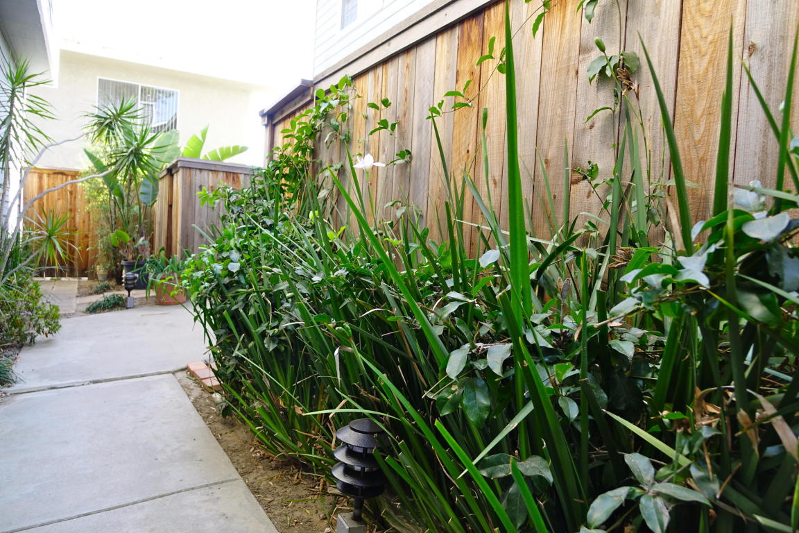 239 Mathilda Dr, Goleta, CA 93117 photo 22