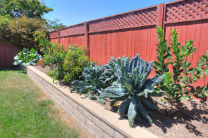 7244 Fordham Pl, Goleta, CA 93117 photo 26