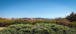 6615 E Highway 246, Lompoc, CA 93436 photo 6