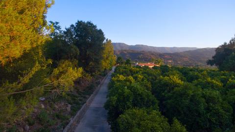 4100 Grand Ave, Ojai, CA 93023 photo 2