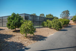 6846 Shadowbrook Dr, Goleta, CA 93117 photo 20