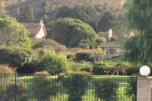 2406 Balboa Ct, Lompoc, CA 93436 photo 8