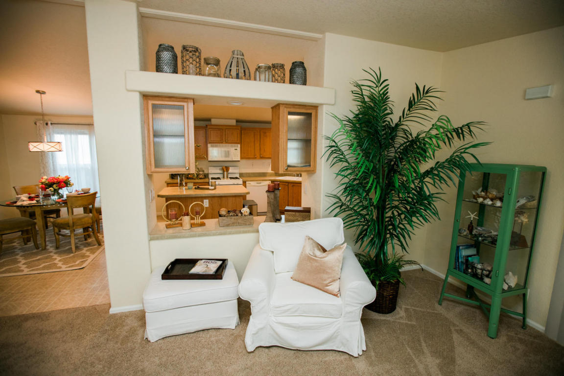 3950 Via Real #237, Carpinteria, CA 93013 photo 12