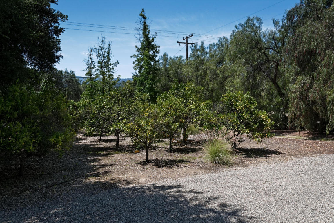 3677 Thacher Rd, Ojai, CA 93023 photo 23