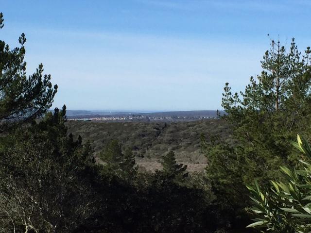 3355 Wild Oak Rd, Lompoc, CA 93436 photo 7