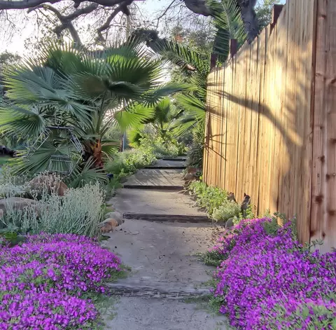 702 Libby Ave, Ojai, CA 93023 photo 30