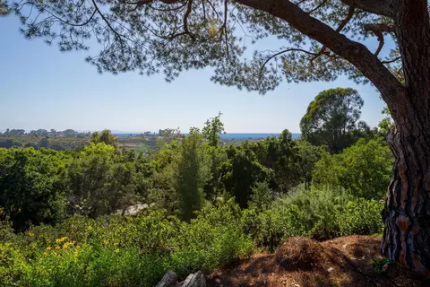 6822 Shepard Mesa Rd, Carpinteria, CA 93013 photo 5