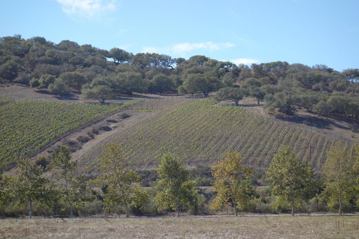 6635 E Highway 246, Lompoc, CA 93436 photo 31