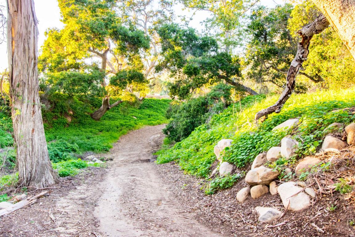 201 Toro Canyon Rd, Carpinteria, CA 93013 photo 8