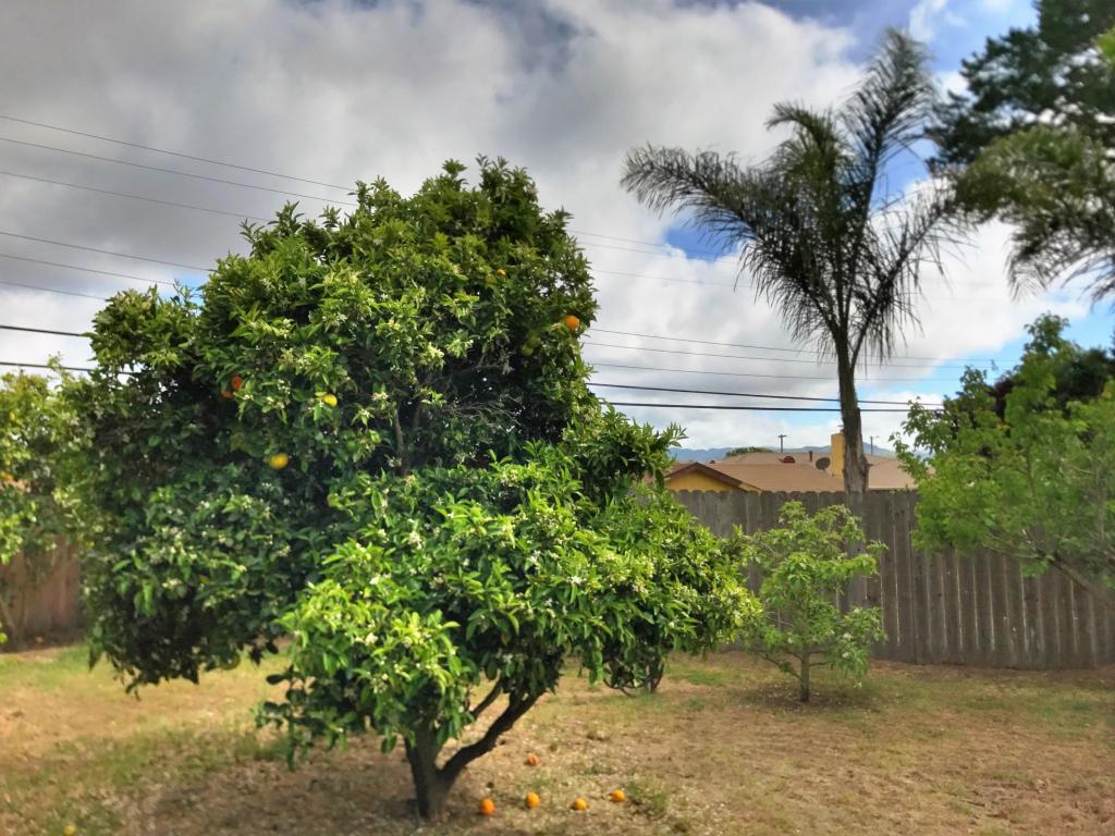 4157 Arcturus Ave, Lompoc, CA 93436 photo 26
