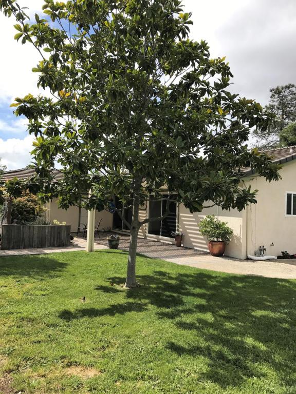 4157 Arcturus Ave, Lompoc, CA 93436 photo 14