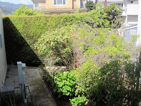 349 Ash Ave #36, Carpinteria, CA 93013 photo 16
