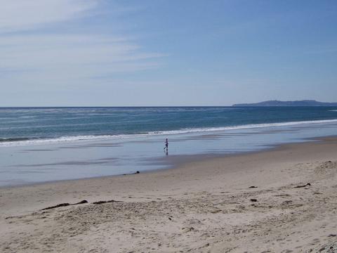 349 Ash Ave #41, Carpinteria, CA 93013 photo 15