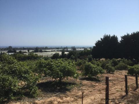 4630 Foothill Rd, Carpinteria, CA 93013 photo 2