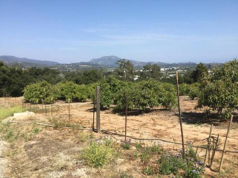 4630 Foothill Rd, Carpinteria, CA 93013 photo 3