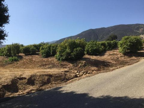 4630 Foothill Rd, Carpinteria, CA 93013 photo 7
