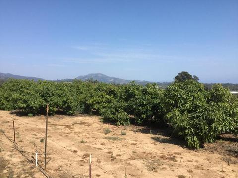 4630 Foothill Rd, Carpinteria, CA 93013 photo 1
