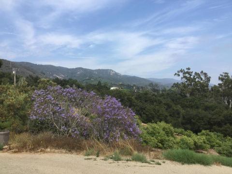4630 Foothill Rd, Carpinteria, CA 93013 photo 17