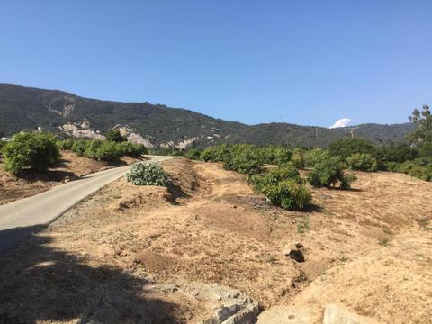 4630 Foothill Rd, Carpinteria, CA 93013 photo 6