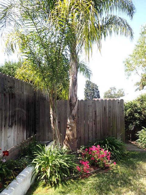 252 Forest Dr, Goleta, CA 93117 photo 28