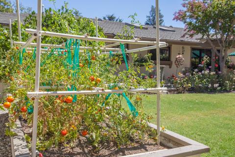 1932 Viborg Rd, Solvang, CA 93463 photo 19