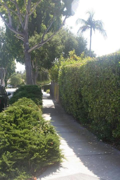 666 Windsor Ave, Goleta, CA 93117 photo 15