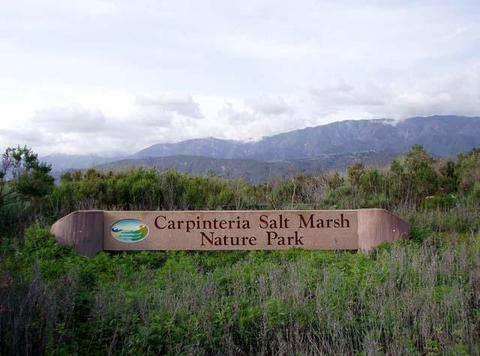 349 Ash Ave #49, Carpinteria, CA 93013 photo 16
