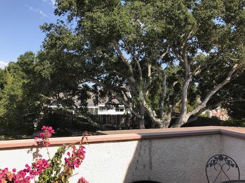3174 Manley Dr, Lompoc, CA 93436 photo 21