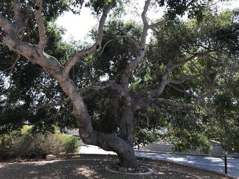 3174 Manley Dr, Lompoc, CA 93436 photo 28
