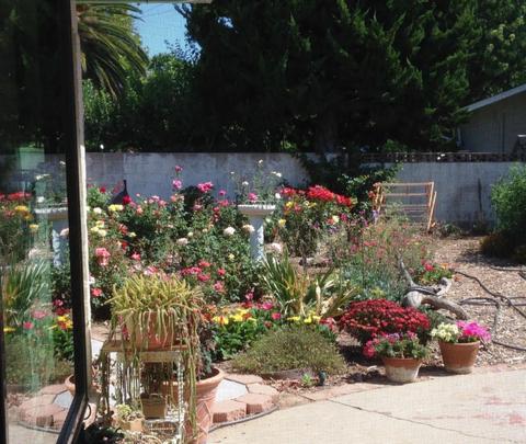 385 Larmier Ave, Oak View, CA 93022 photo 27