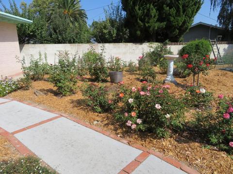 385 Larmier Ave, Oak View, CA 93022 photo 20