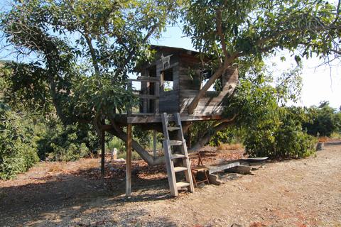 6020 Heatherton Dr, Somis, CA 93066 photo 47