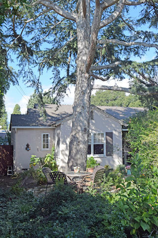 1165 Vallecito Rd, Carpinteria, CA 93013 photo 12